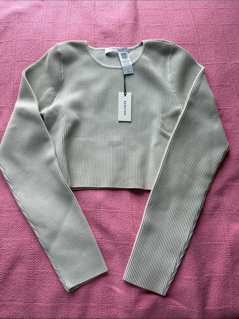Aritzia Babaton Sculpt Knit Crew Crop NWT